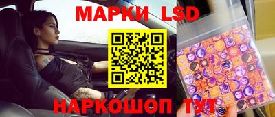 гидропоника Дубна
