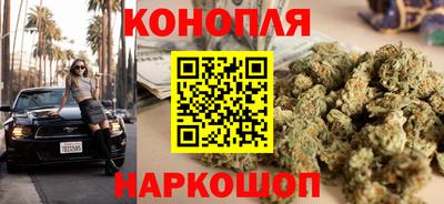 гидропоника Дубна