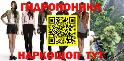 гидропоника Дубна