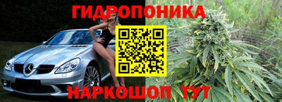гидропоника Дубна