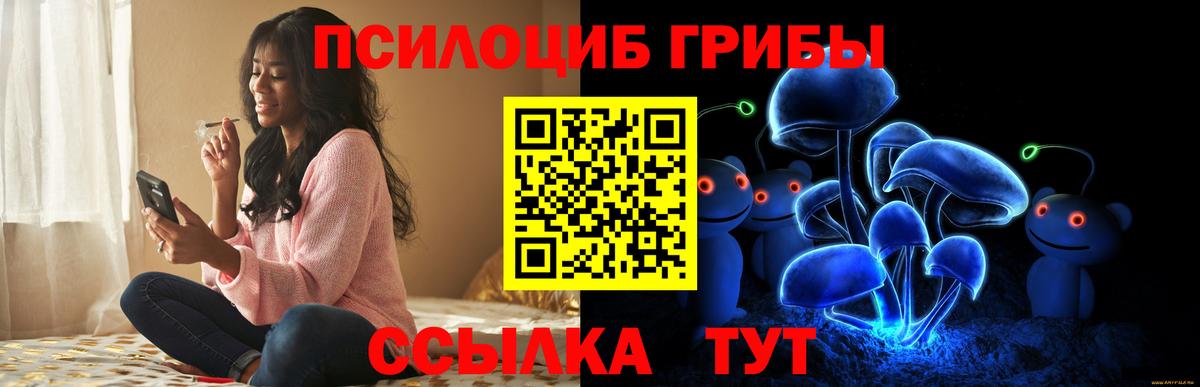 Галлюциногенные грибы MAGIC MUSHROOMS Находка
